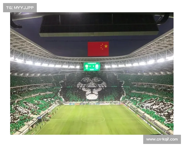 国安球迷TIFO致敬法比奥,场面震撼